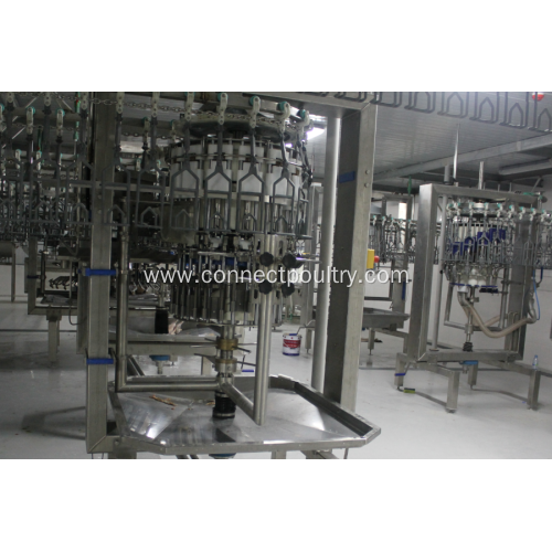 chicken slaughtering machine poultry eviscerator